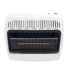 BF30NMDG Dyna-Glo 30,000 BTU Natural Gas Blue Flame Vent Free Wall Heater front
