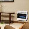BF30NMDG Dyna-Glo 30,000 BTU Natural Gas Blue Flame Vent Free Wall Heater - lifestyle