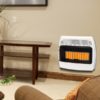 IR30NMDG-1 Dyna-Glo 30,000 BTU Natural Gas Vent Free Infrared Wall Heater - lifestyle